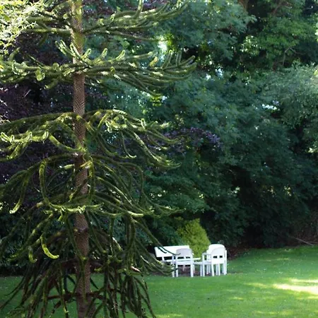 酒店 凯思林乡间别墅酒店 Lower Coolcorcoran