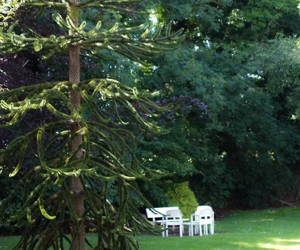 Hotel Kathleens Lower Coolcorcoran